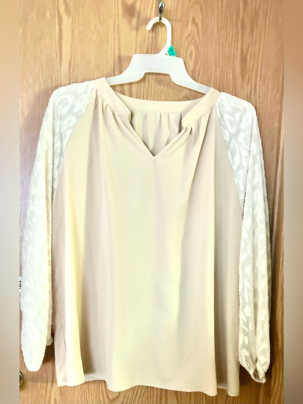 SHEIN Cream Blouse with Lace Patterned Raglan Sleeves